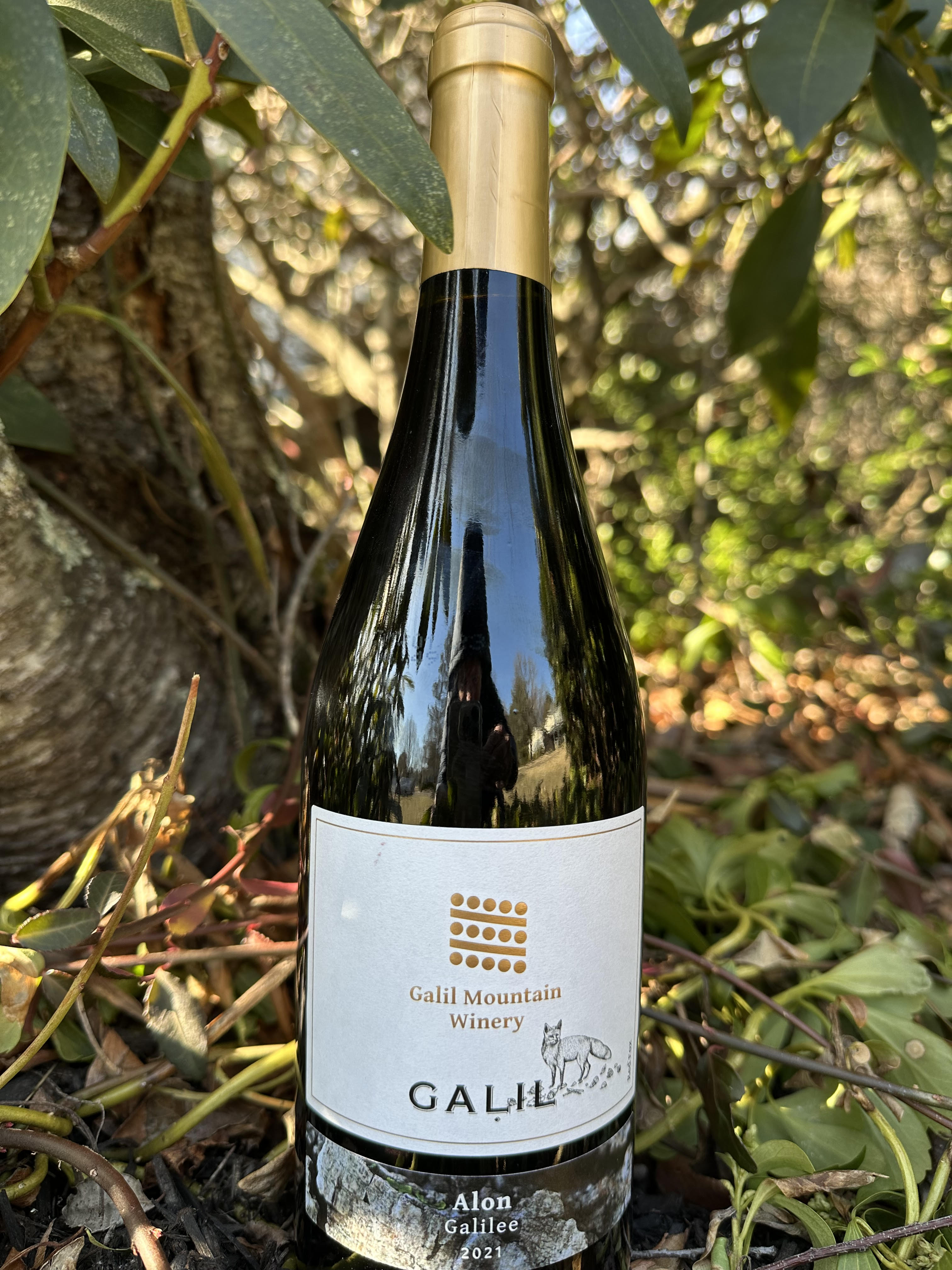 Galil Mountain Winery “Alon” 2021