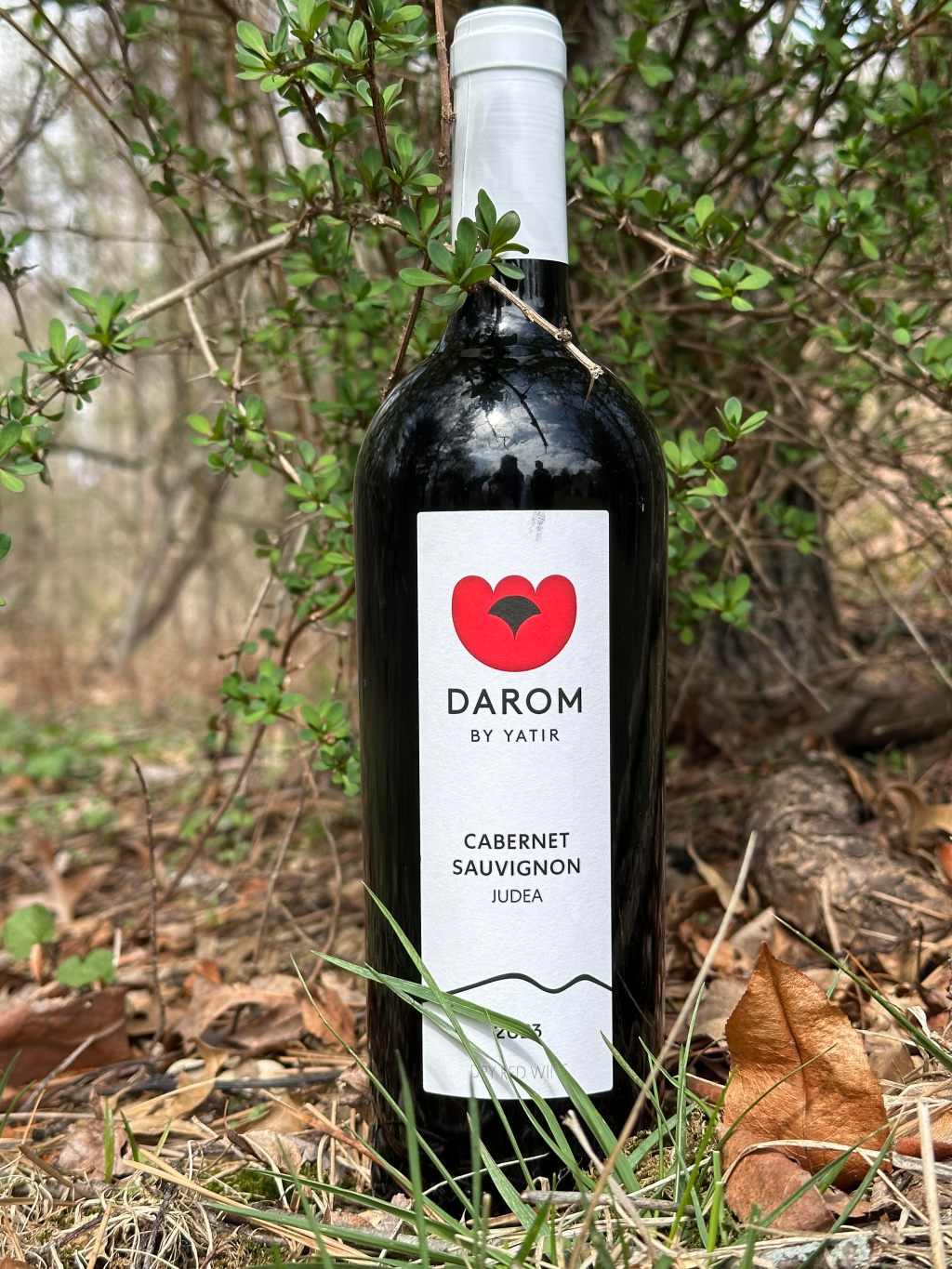 Yatir DAROM Cabernet Sauvignon&nbsp;2023