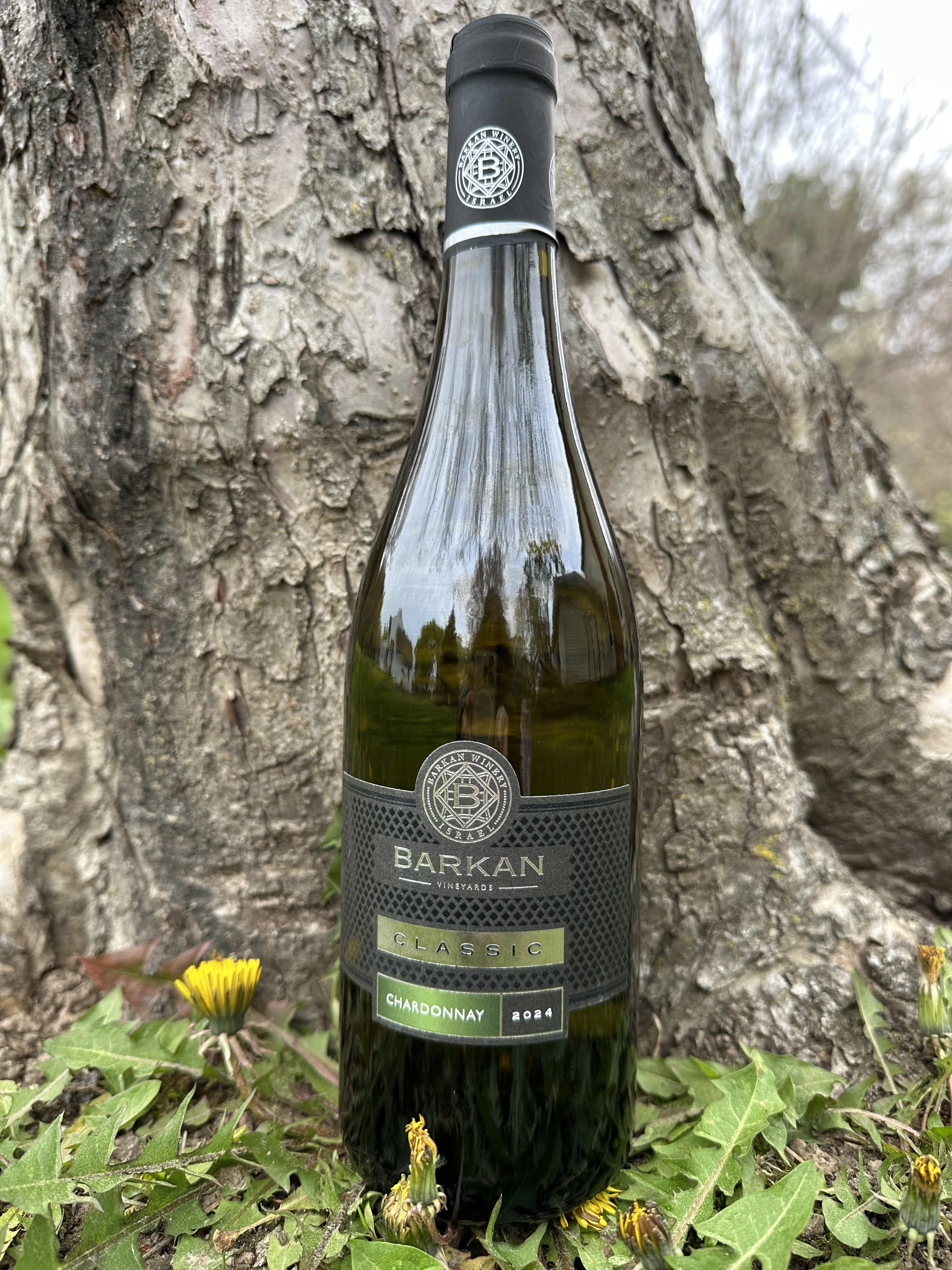 Barkan Classic Chardonnay 24′