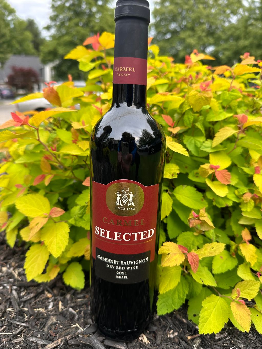 Carmel Winery’s Selected Cabernet Sauvignon&nbsp;2021