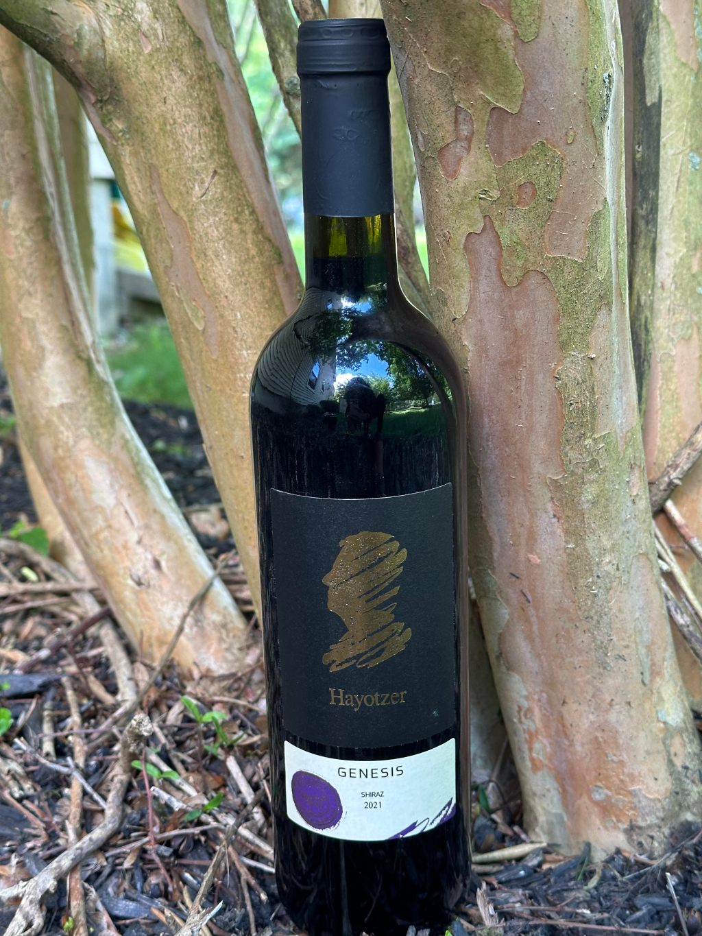 Hayotzer Genesis Shiraz&nbsp;2021