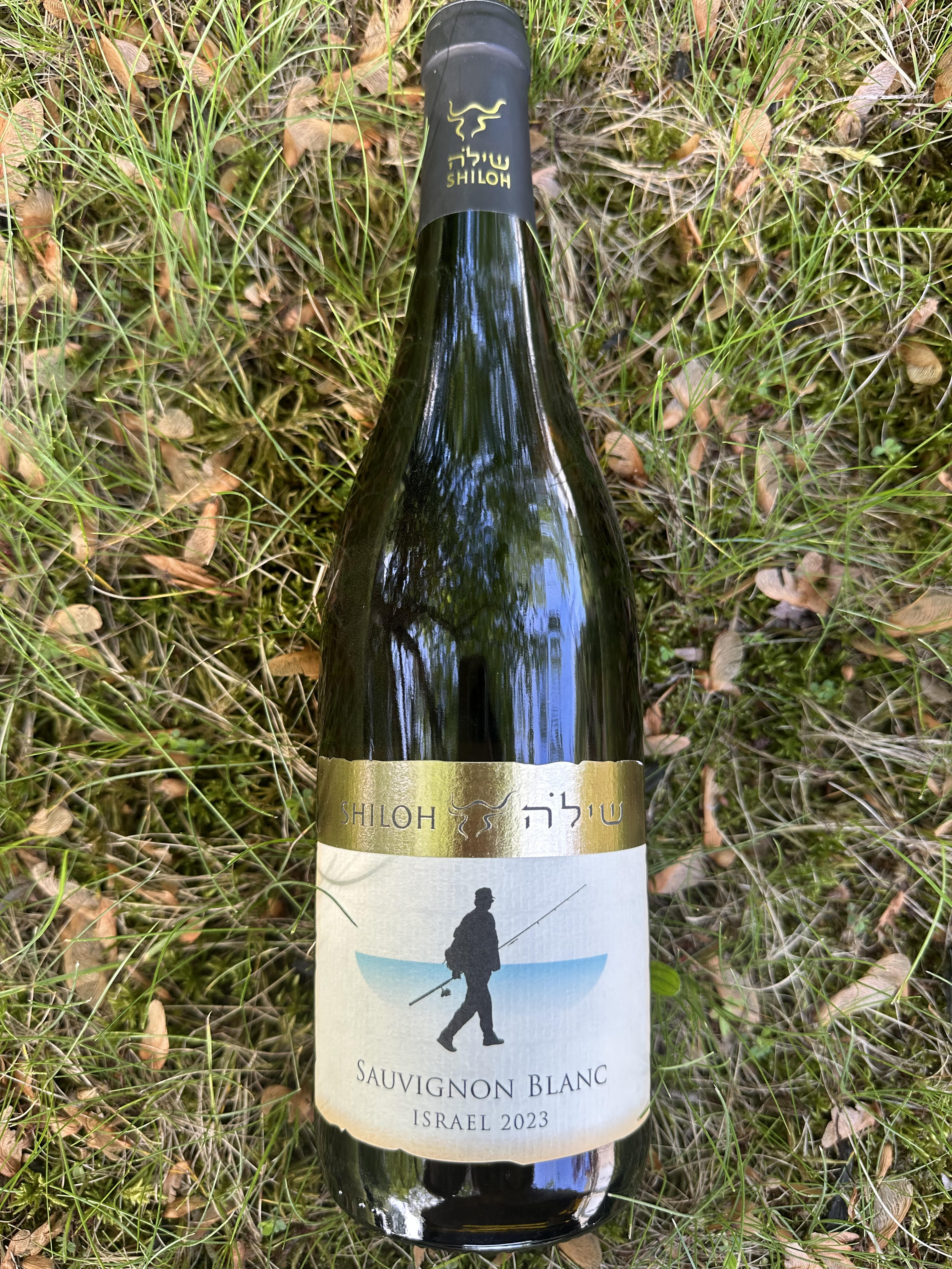 Shiloh Sauvignon Blanc 2023