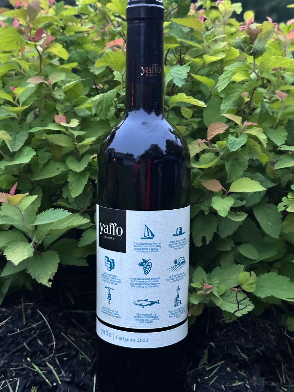 Yaffo Winery Carignan&nbsp;2023