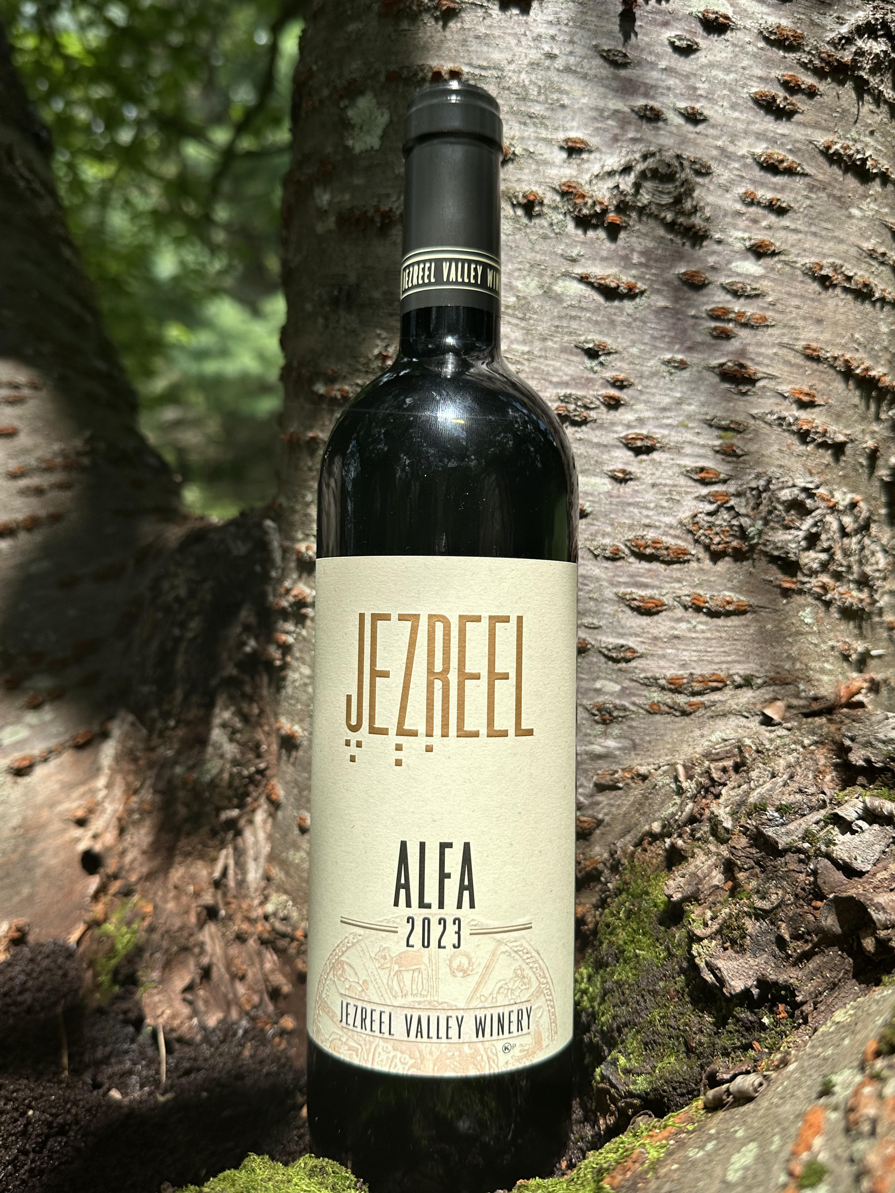 Jezreel Valley Vineyard “Alfa 2023”