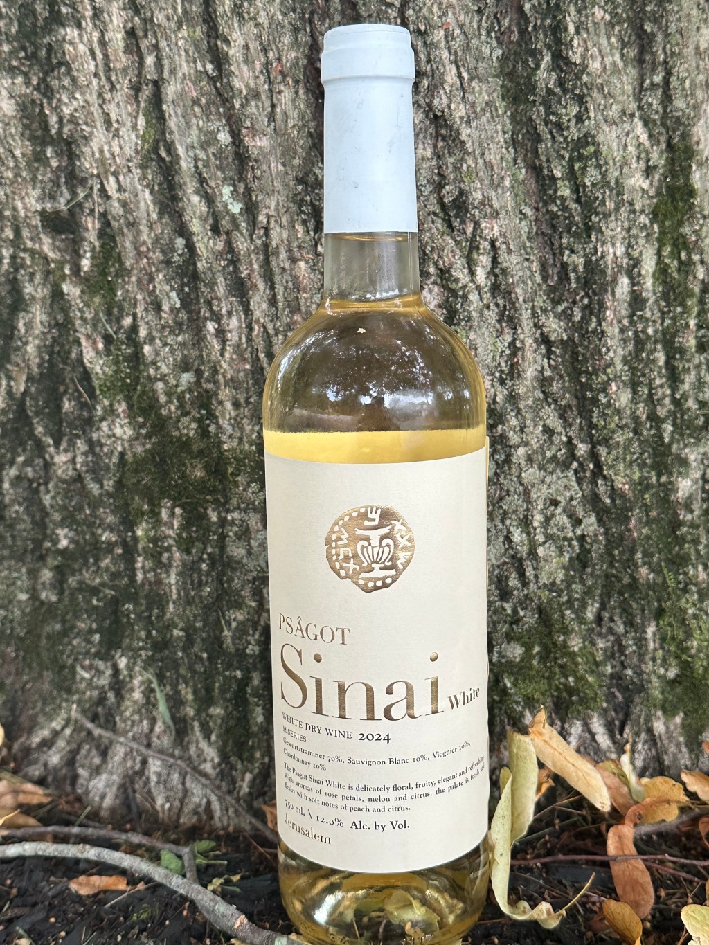 Psagot Sinai White&nbsp;2024