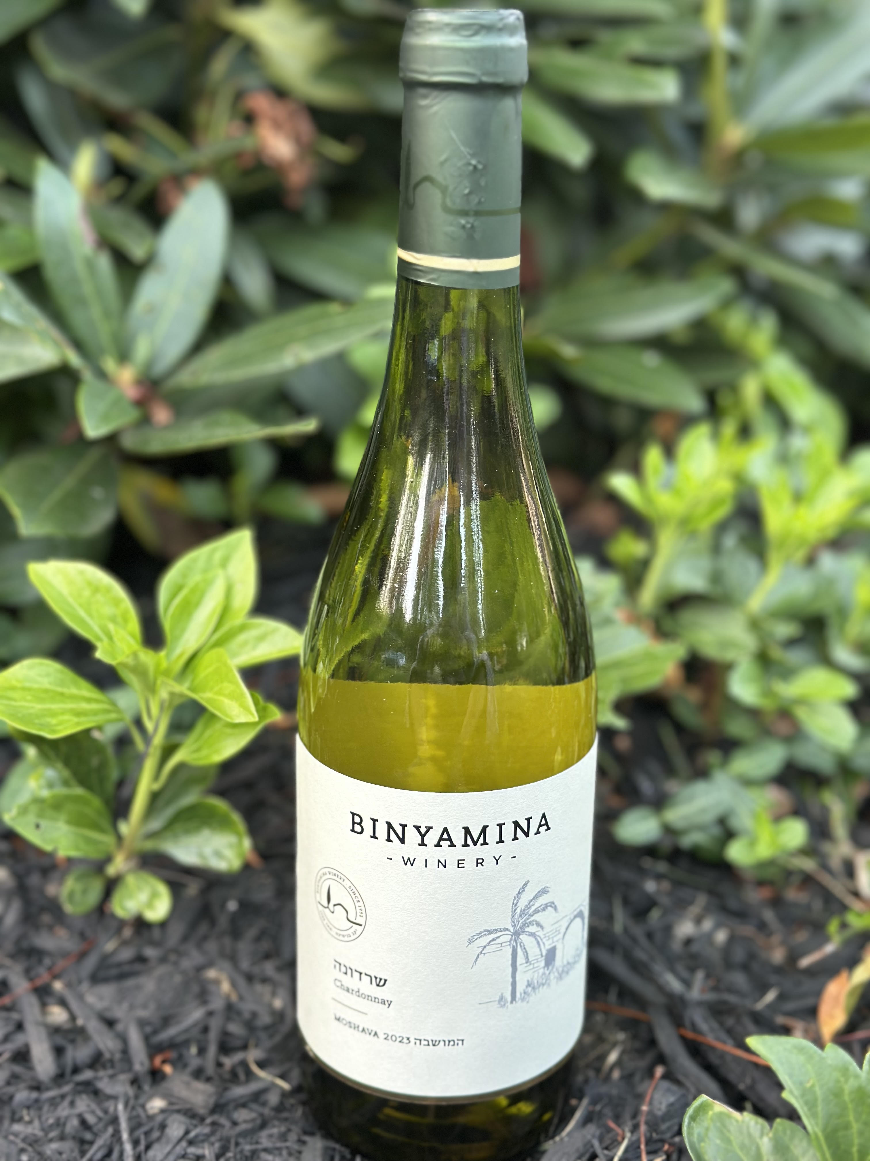 Binyamina Moshava Chardonnay 2023