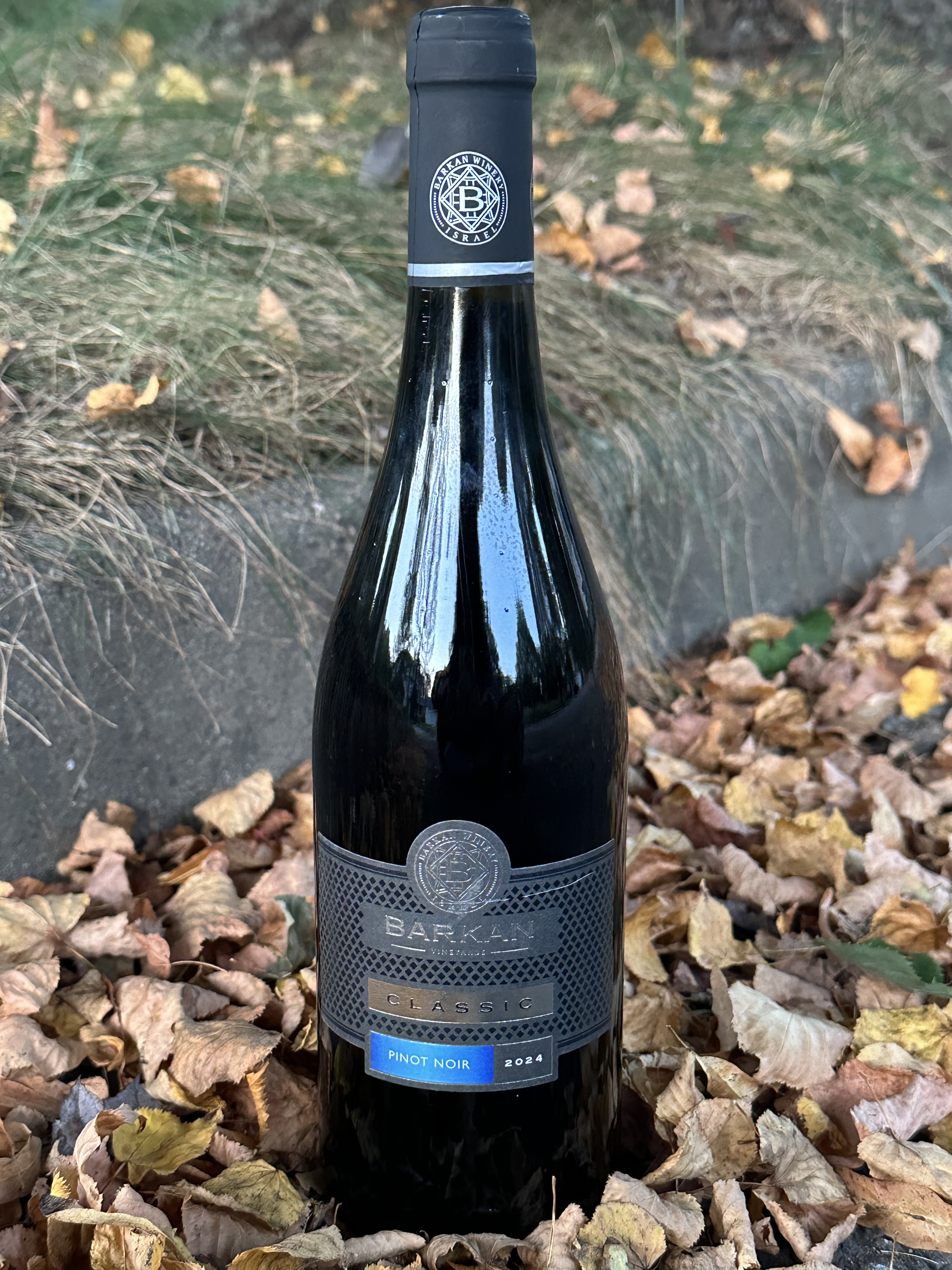 Barkan Pinot Noir 2024