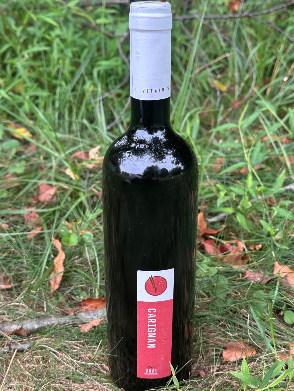 Vitkin Carignan 2021