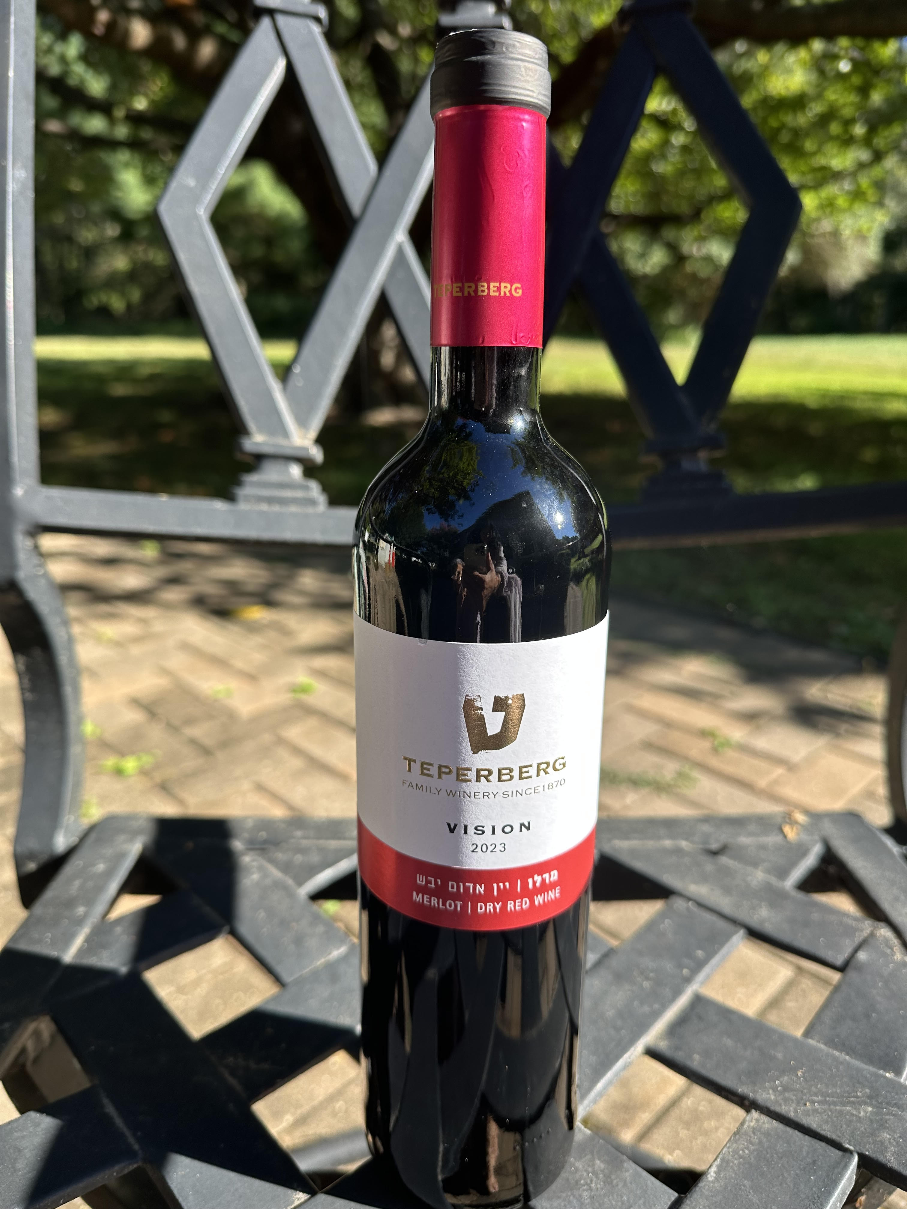 Teperberg Vision Merlot 2023