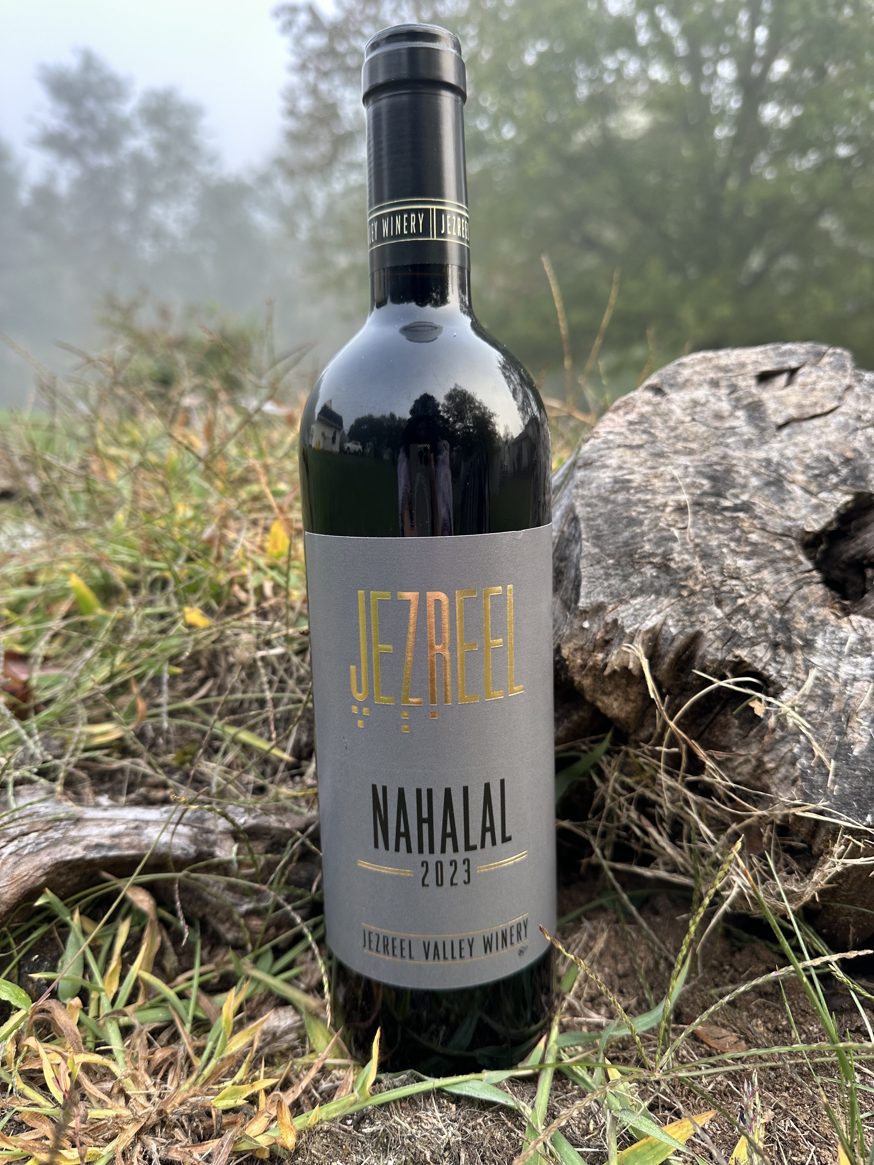 Jezreel Valley Winery Nahalal 2023