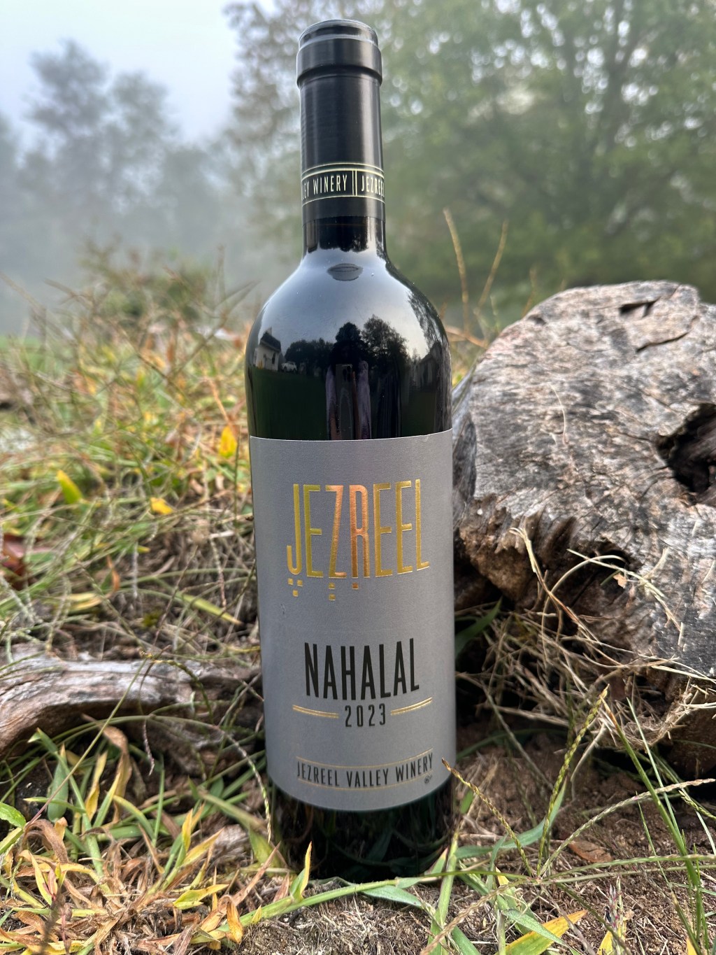 Jezreel Valley Winery Nahalal&nbsp;2023