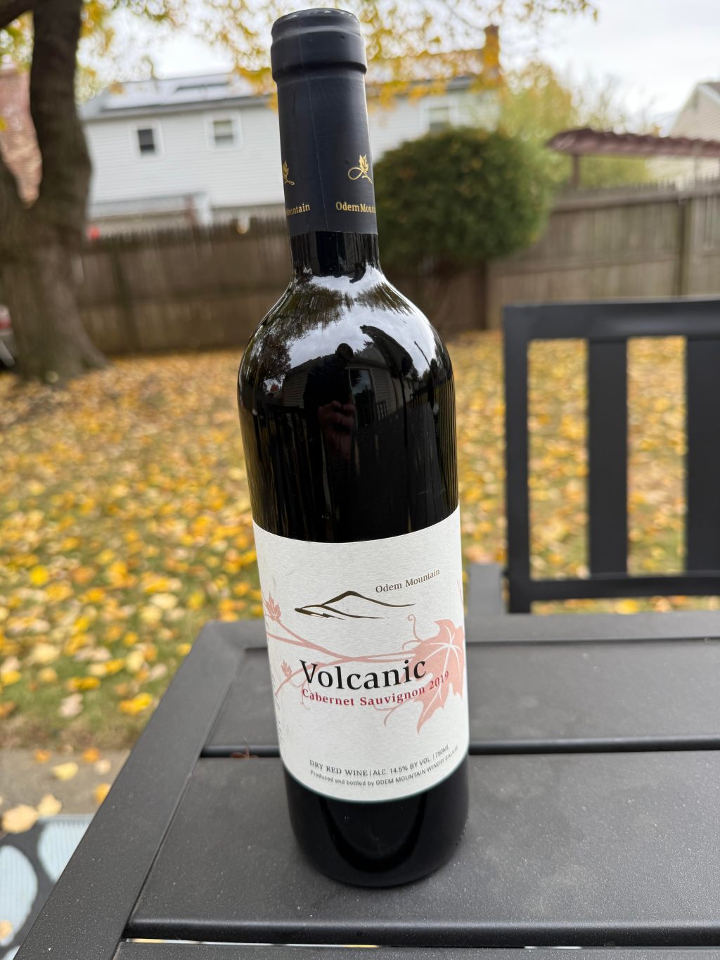 Odem Mountain Volcanic Cabernet Sauvignon&nbsp;2023
