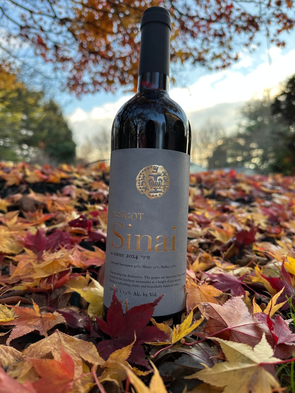 🍷 Psagot Sinai&nbsp;2024