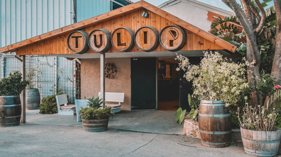 🍷 Tulip Merlot – Israel Wine Girl