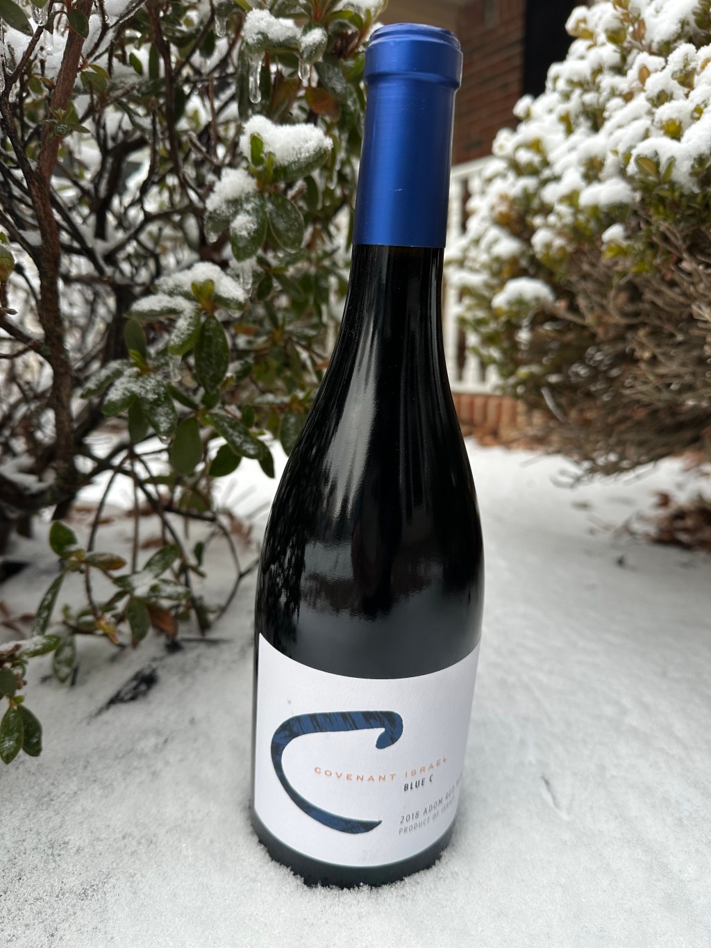 Covenant Blue C Adom&nbsp;2018