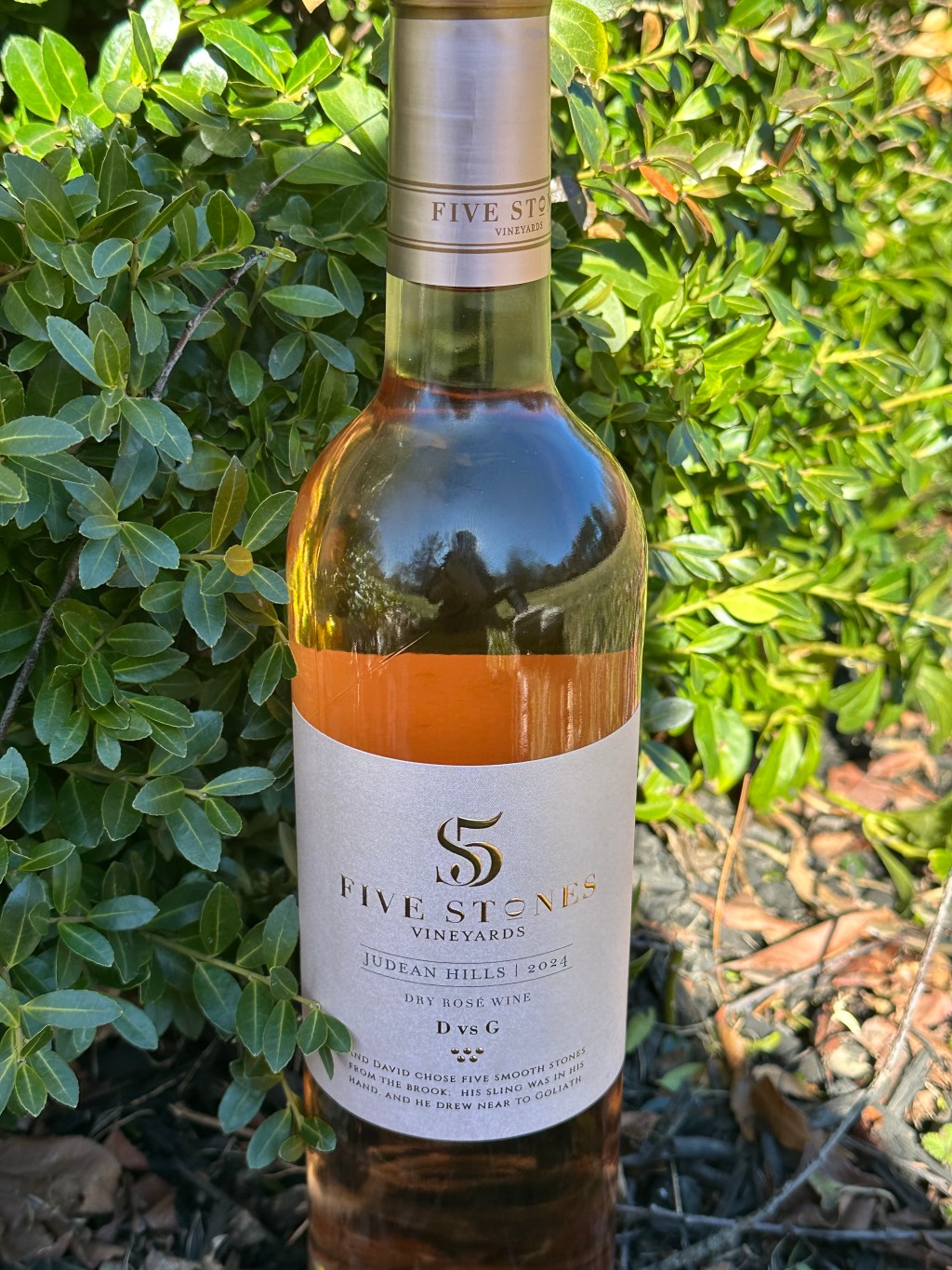 Five Stones Rose 2024 (D vs.&nbsp;G)