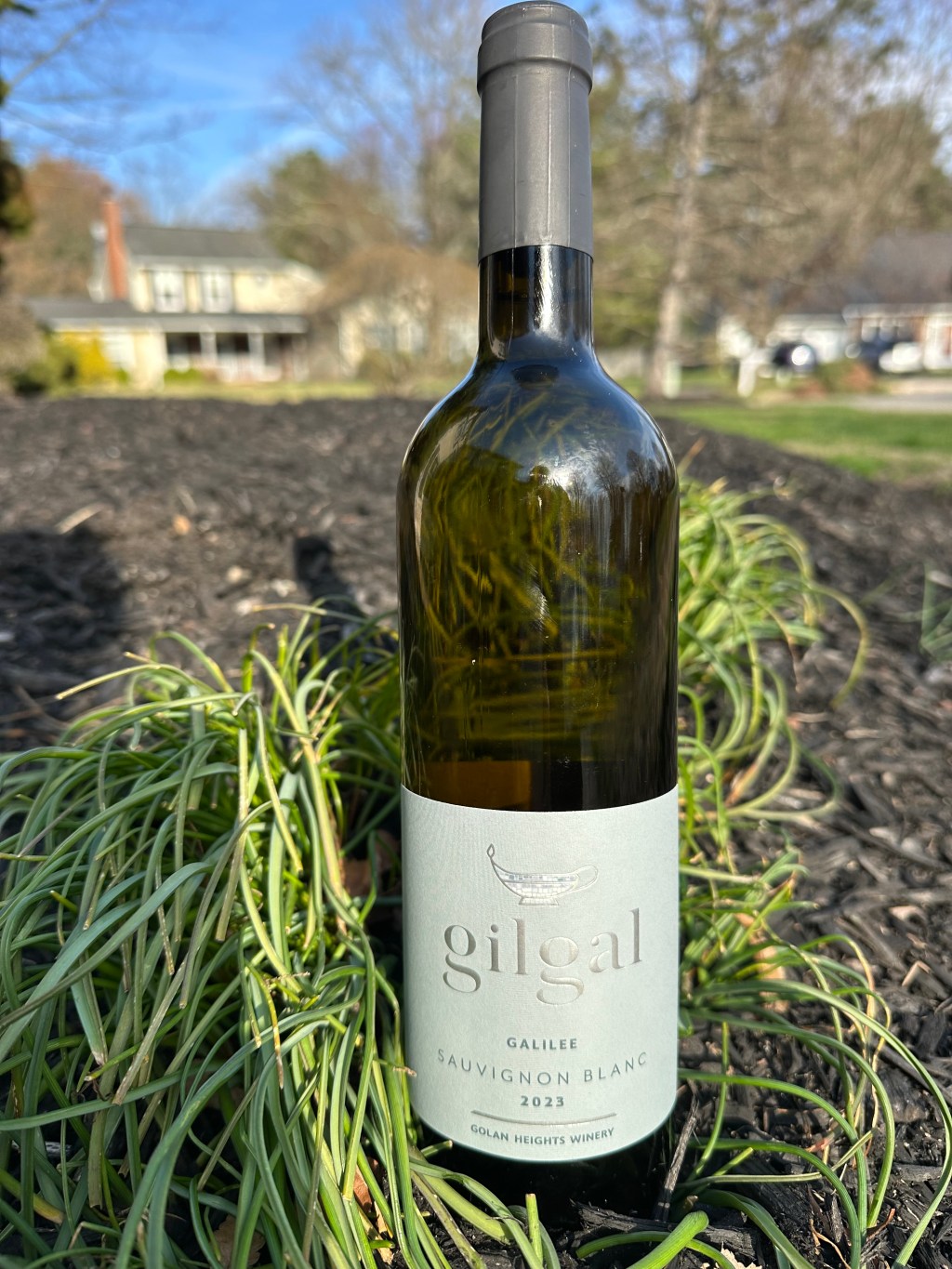 Gilgal Sauvignon Blanc