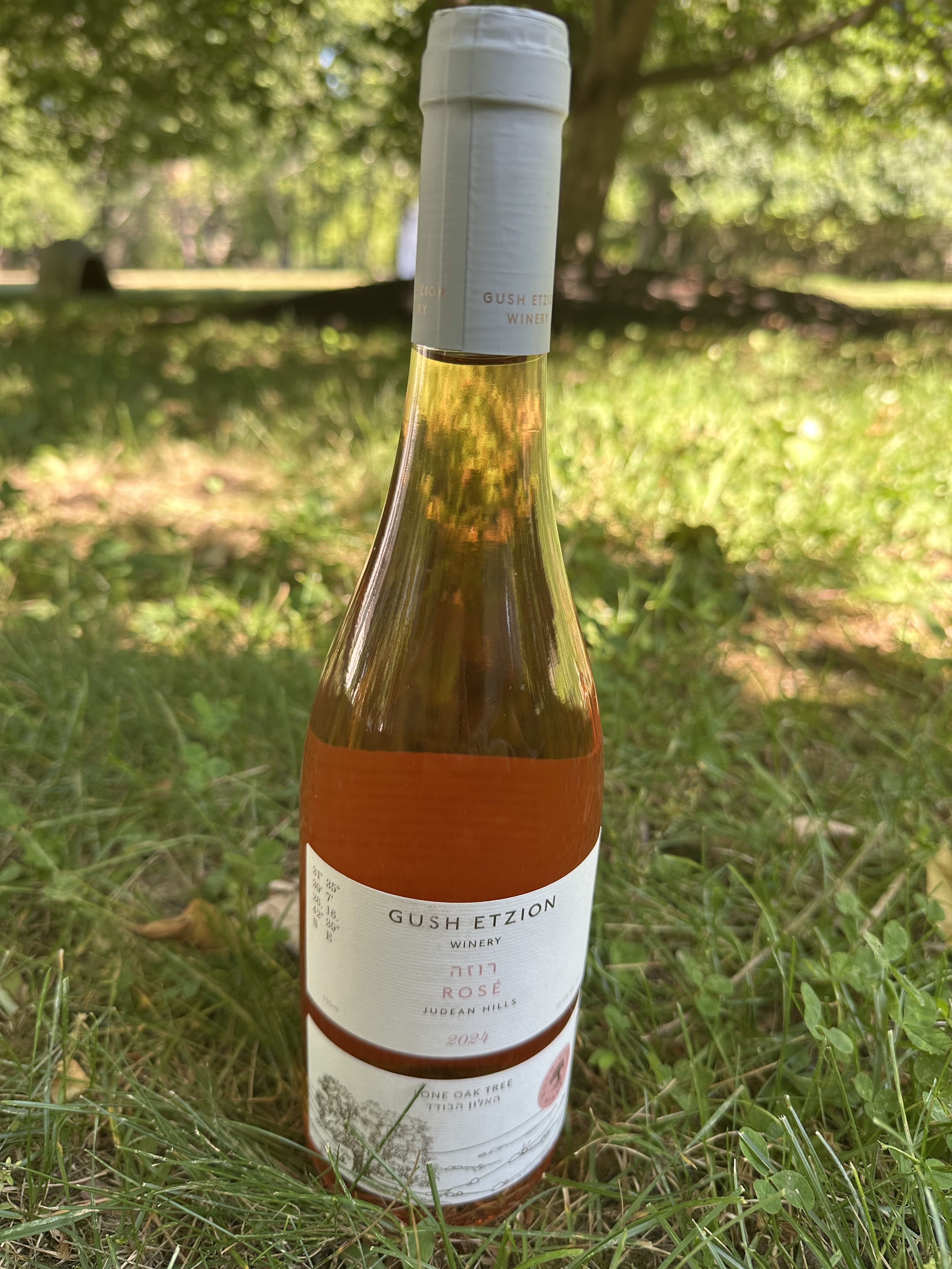 Gush Etzion Lone Oak Rosé 2024