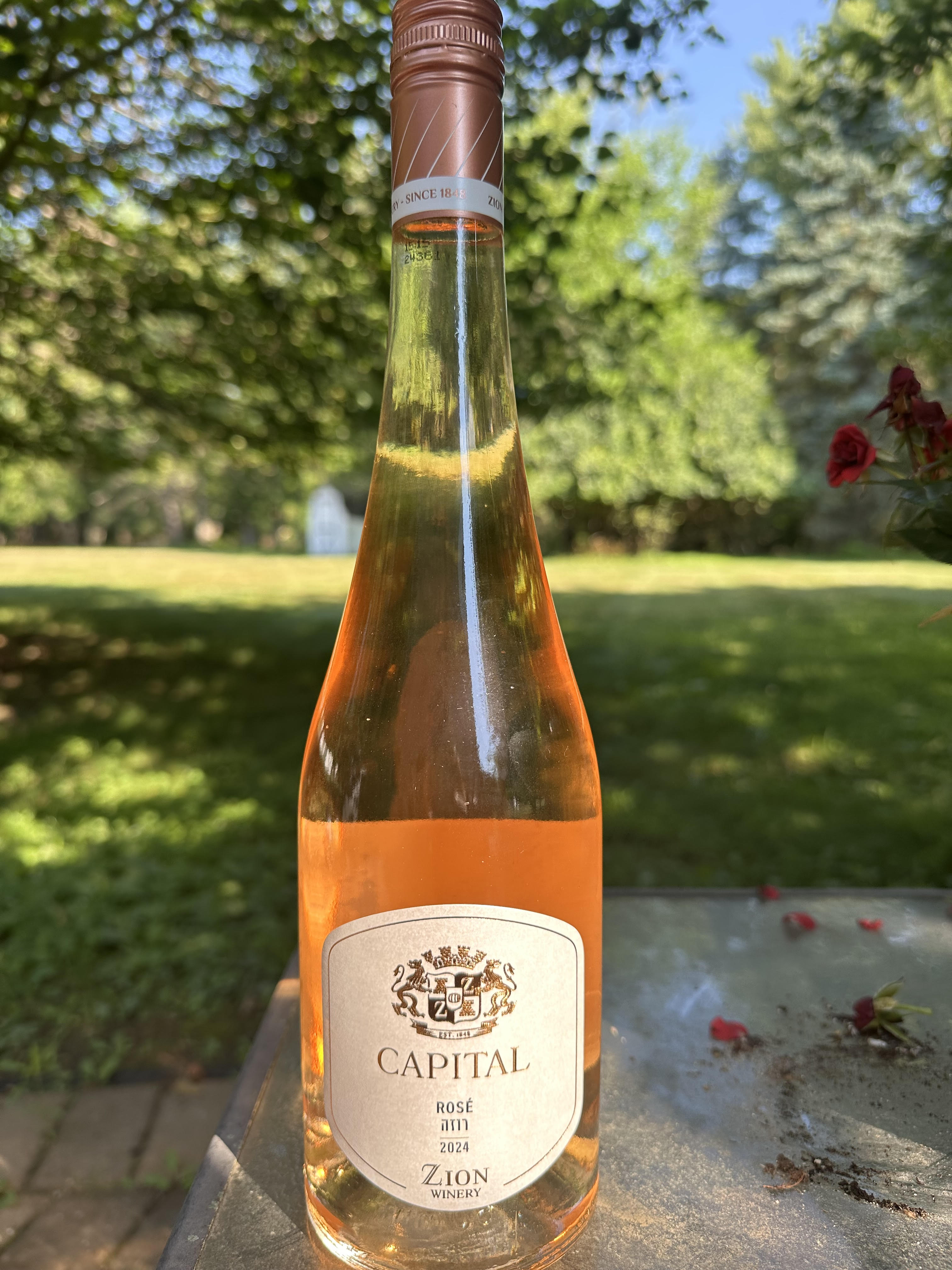 Zion Capital Rosé 2024