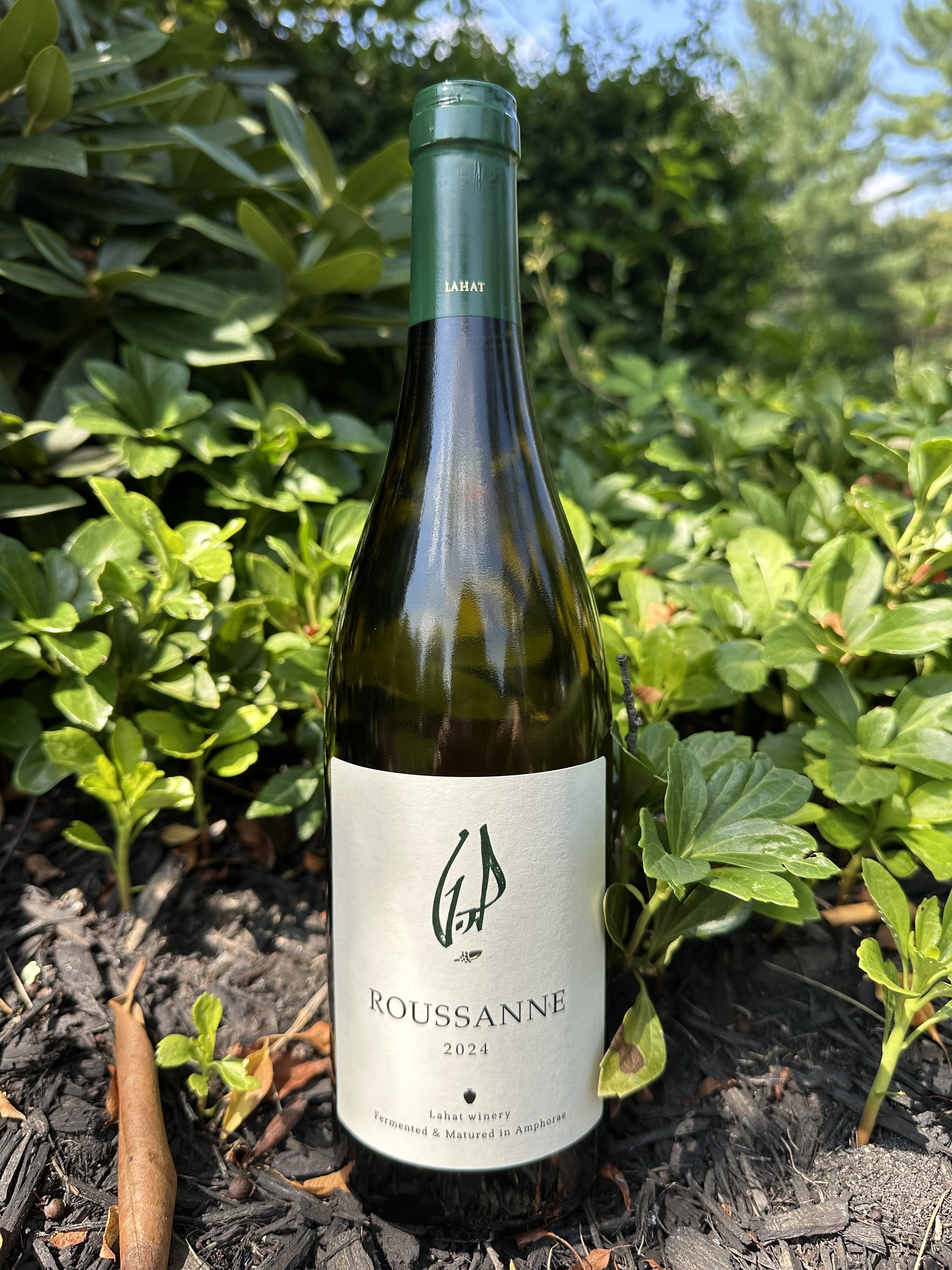 Lahat Roussanne 2024