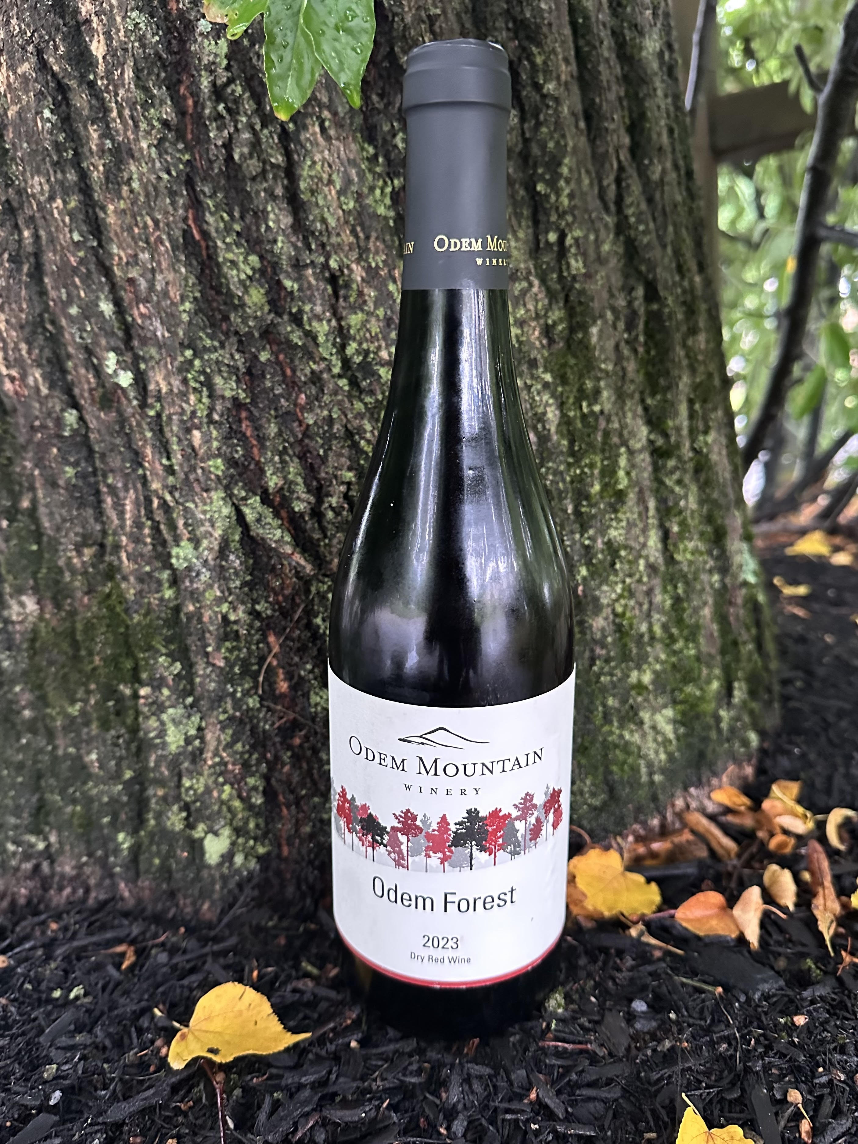 Odem Mountain Winery – Odem Forest